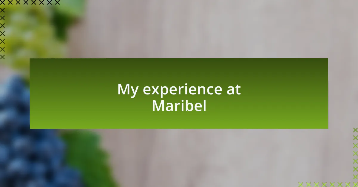 My experience at Maribel