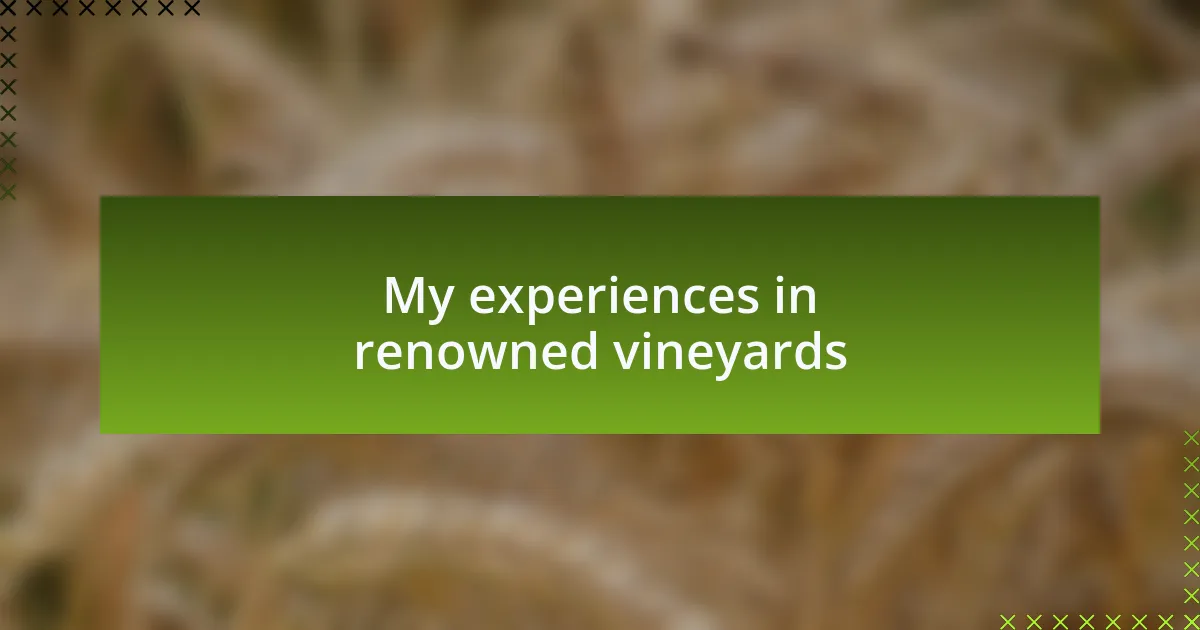 My experiences in renowned vineyards